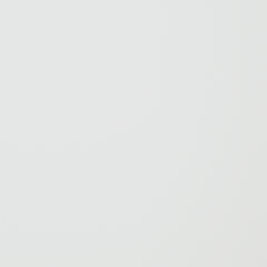 Fortman California  Panel Storage Bed