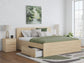 Onita  Panel Platform Bed With Storage