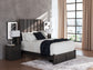 Fraluna  Panel Storage Bed With Mirrored Dresser