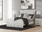 Zuraleus  Upholstered Panel Platform Storage Bed, Dresser, Mirror, Chest And Nightstand