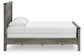 Frandern  Panel Bed