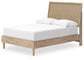 Cielden  Panel Bed With Mirrored Dresser, Chest And Nightstand