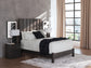 Fraluna  Panel Bed, Dresser, Mirror And Nightstand
