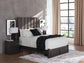 Fraluna  Panel Storage Bed, Dresser, Mirror And Nightstand
