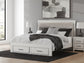 Zuraleus  Upholstered Panel Platform Storage Bed, Dresser, Mirror And Nightstand