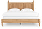 Aleaport  Panel Bed With Mirrored Dresser And Nightstand